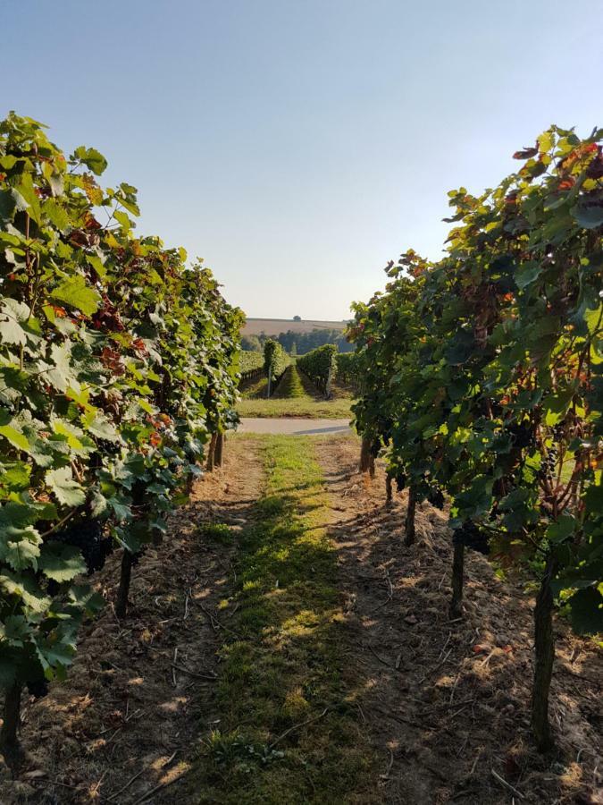 Weingut & Gaestehaus Nagel Kapellen-Drusweiler Esterno foto